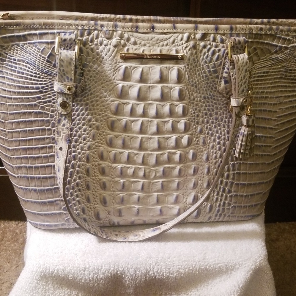 Beautiful Brahmin Medium Asher